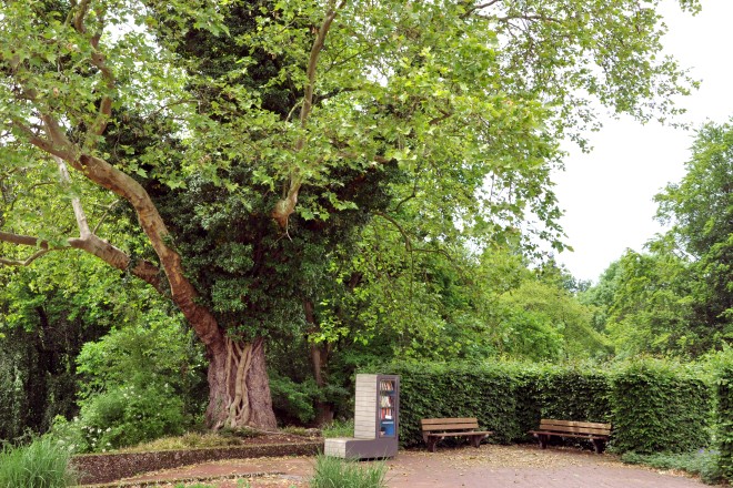 Spaziergänge für Trauernde in der Gruga